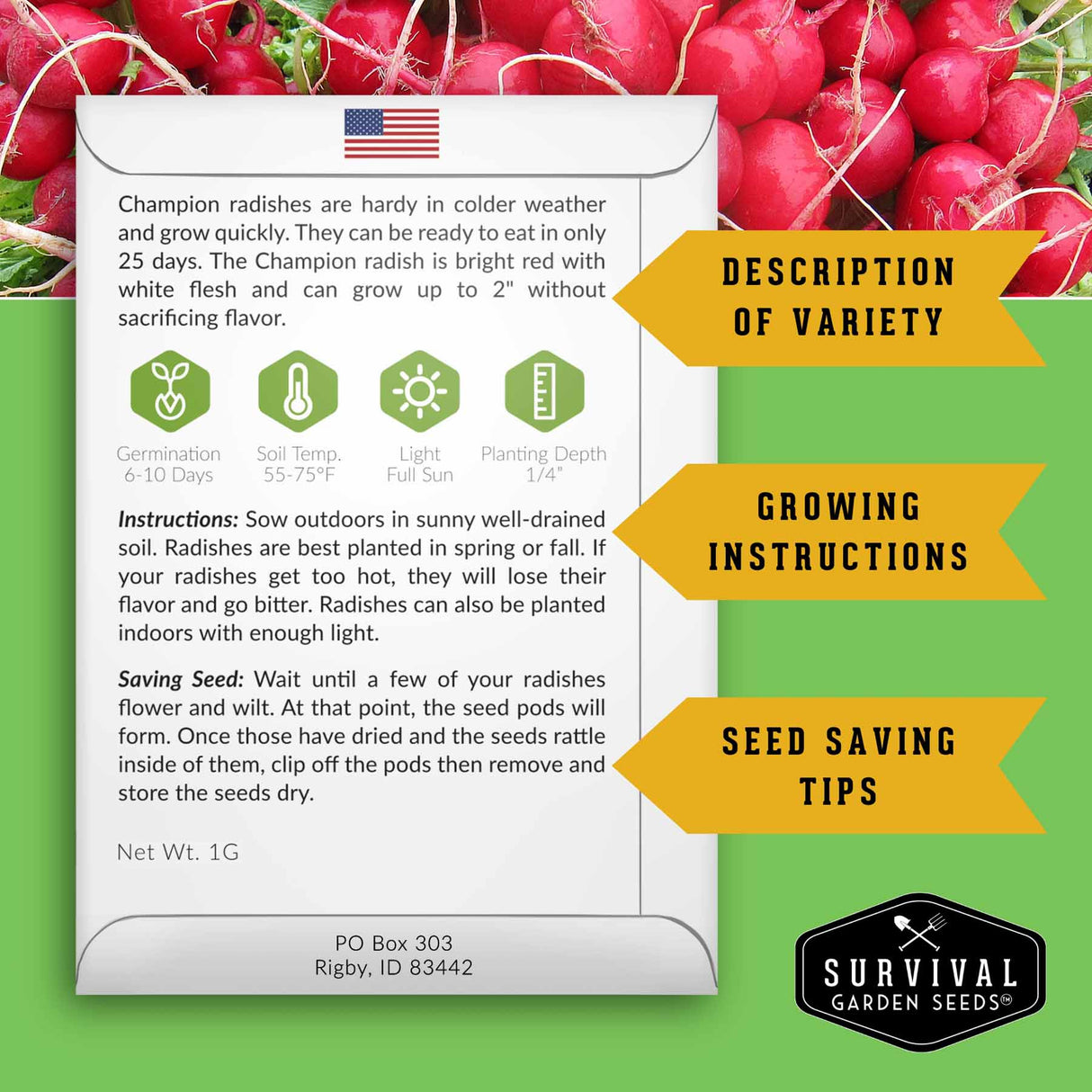 Seed packet for Champion radishes with growing instructions and seed saving tips on a green background with radishes.