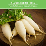 White radishes on a wooden surface with a green text box at the top.