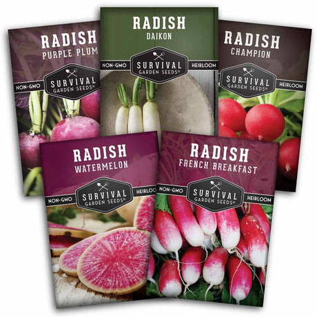 Five packages of Survival Garden Seeds radish varieties on a white background