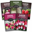 Five seed packet designs for radishes are arranged in a fan shape. The packets feature different radish varieties including Purple Plum, Daikon, Champion, Watermelon, and French Breakfast, with colorful photographs of the radishes and the Survival Garden Seeds brand logo.