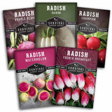 Five seed packet designs for radishes are arranged in a fan shape. The packets feature different radish varieties including Purple Plum, Daikon, Champion, Watermelon, and French Breakfast, with colorful photographs of the radishes and the Survival Garden Seeds brand logo.