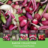 A close-up of assorted radishes with green tops and colorful skins, overlaid with five seed packet designs labeled 'Radish Collection' and text reading '5 Heirloom Seed Packets.' This is not a clean single-product studio shot and not a person/environment scene, so Product/Packaging is the best fit because the image is presenting the sold seed packets while still showing the product imagery directly.