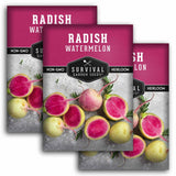 Three seed packets of Survival Garden Seeds Radish Watermelon are shown overlapping on a white background. The packets feature a magenta top section with white text and a lower section showing fresh radish illustrations on a gray textured background.