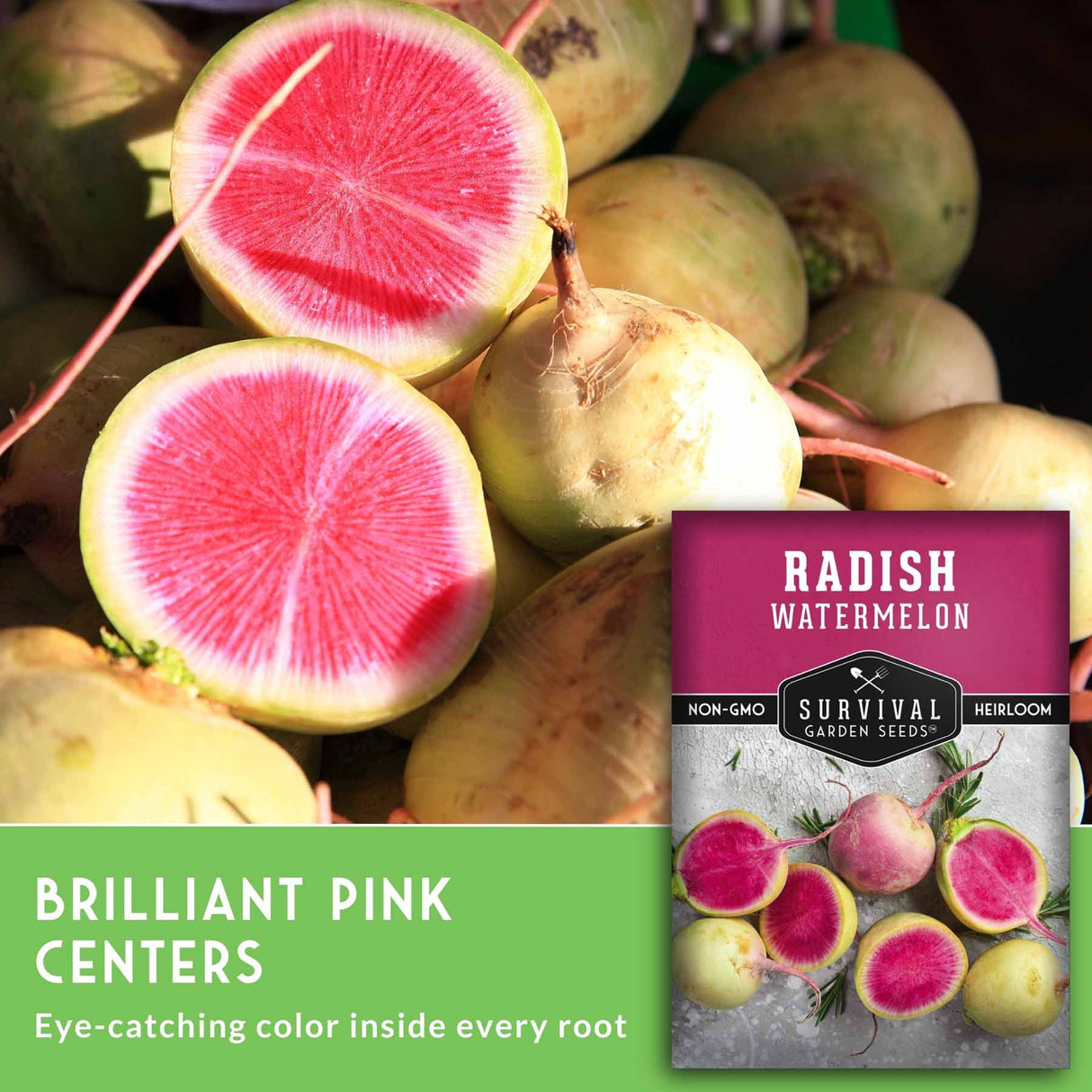 Fresh radishes with bright pink centers and pale yellow-green skins, shown alongside a seed packet labeled 'Radish Watermelon' and marketing text reading 'Brilliant Pink Centers.'.