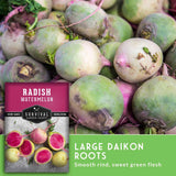 A close-up of harvested radish watermelon daikon roots with pale green and pinkish-white skins, alongside a seed packet labeled 'RADISH WATERMELON' and text reading 'LARGE DAIKON ROOTS' with 'Smooth rind, sweet green flesh.'.