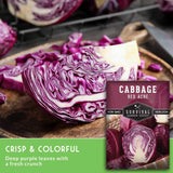 A seed packet labeled 'Cabbage Red Acre' by Survival Garden Seeds is shown over a styled food scene with sliced deep purple-red cabbage on a wooden cutting board and a green text banner reading 'Crisp & Colorful' and 'Deep purple leaves with a fresh crunch.'.