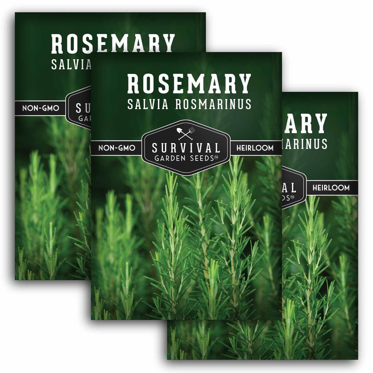 Three packages of Survival Garden Seeds Rosemary with greenery in the background