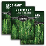 Three packages of Survival Garden Seeds Rosemary with greenery in the background