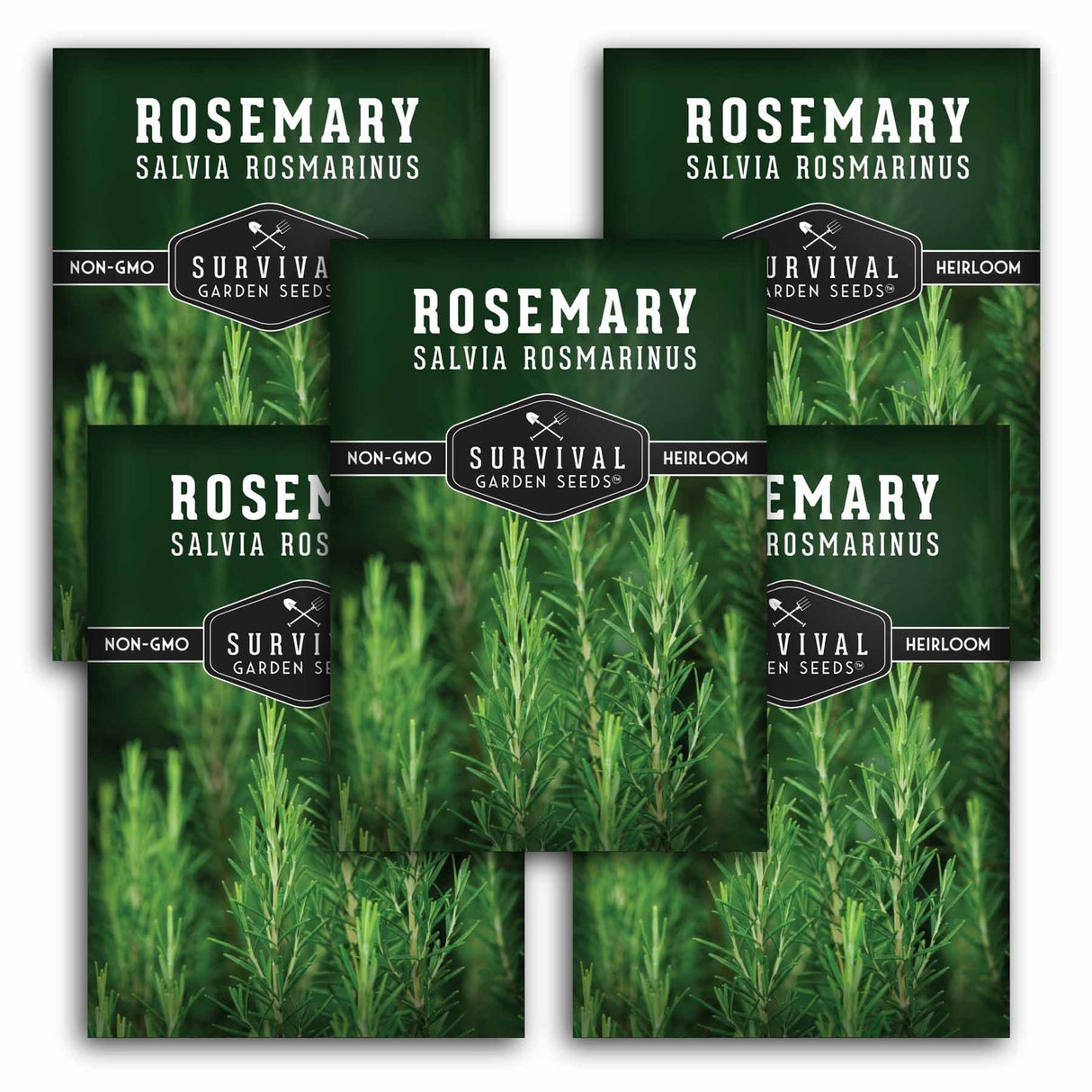 Multiple packages of Survival Garden Seeds Rosemary with greenery in the background