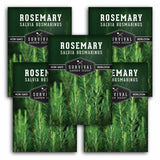 Multiple packages of Survival Garden Seeds Rosemary with greenery in the background