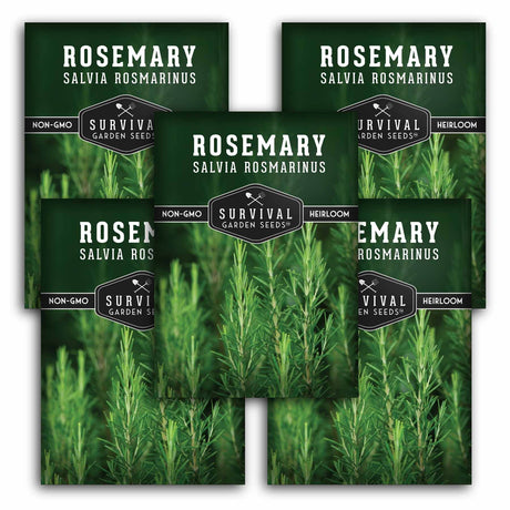 Multiple packages of Survival Garden Seeds Rosemary with greenery in the background