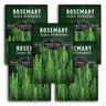 Multiple packages of Survival Garden Seeds Rosemary with greenery in the background