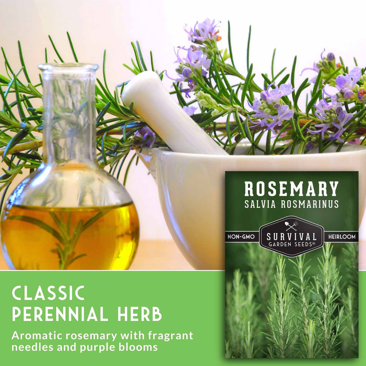 Rosemary plant with a bottle of oil, mortar and pestle, and a package labeled 'Survival Garden Seeds' on a light background.