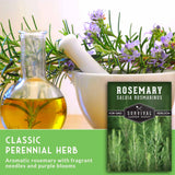 Rosemary plant with a bottle of oil, mortar and pestle, and a package labeled 'Survival Garden Seeds' on a light background.