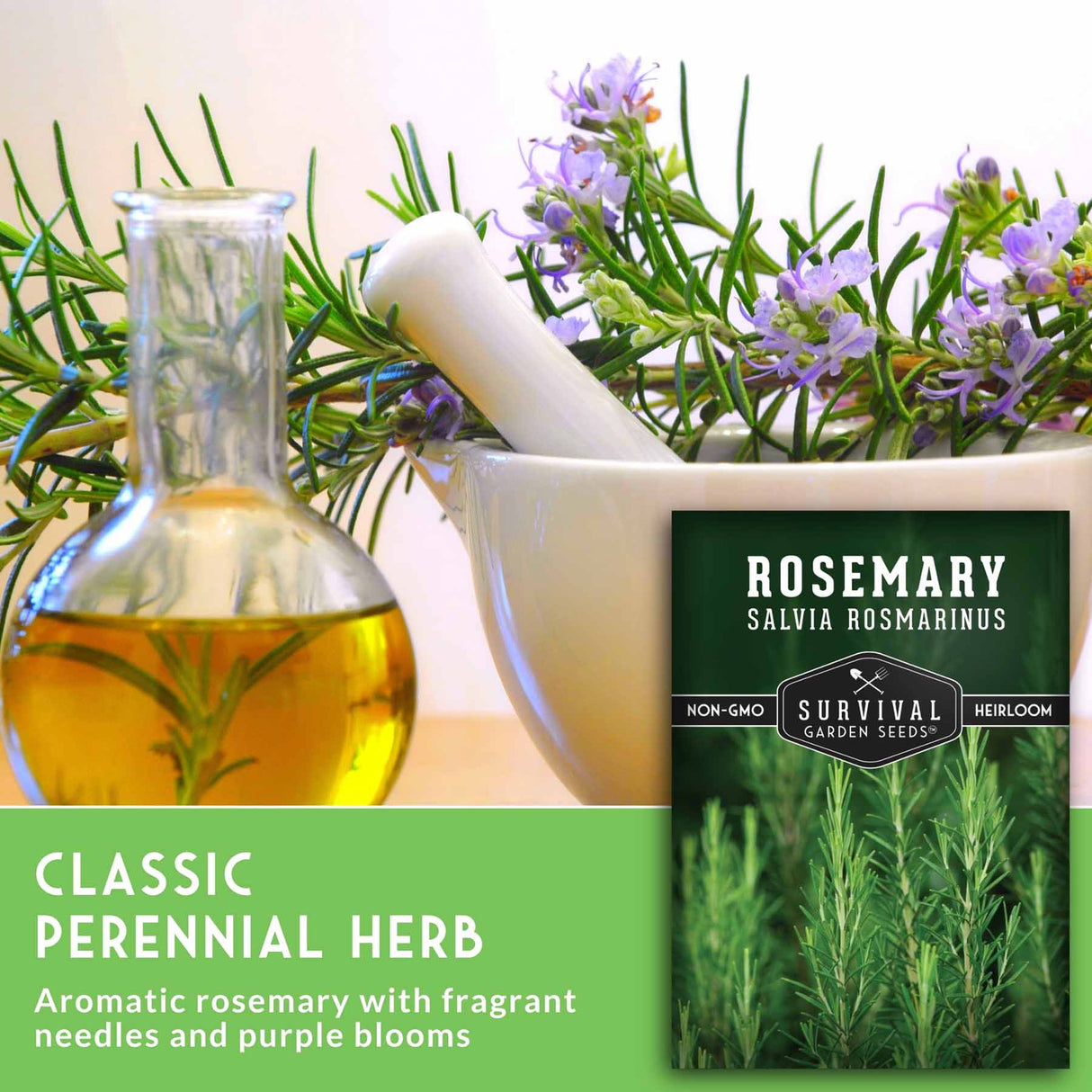 Mortar and pestle with rosemary, a bottle of oil, and a seed packet labeled 'Rosemary' on a light background.
