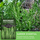 Rosemary plant with a seed packet labeled 'Survival Garden Seeds' on a green background.