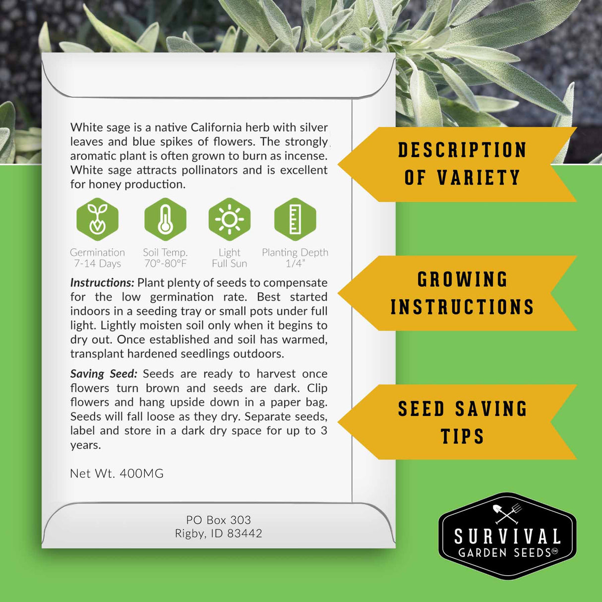 Survival Garden Seeds white sage seed packet with growing instructions and seed saving tips on a green background.