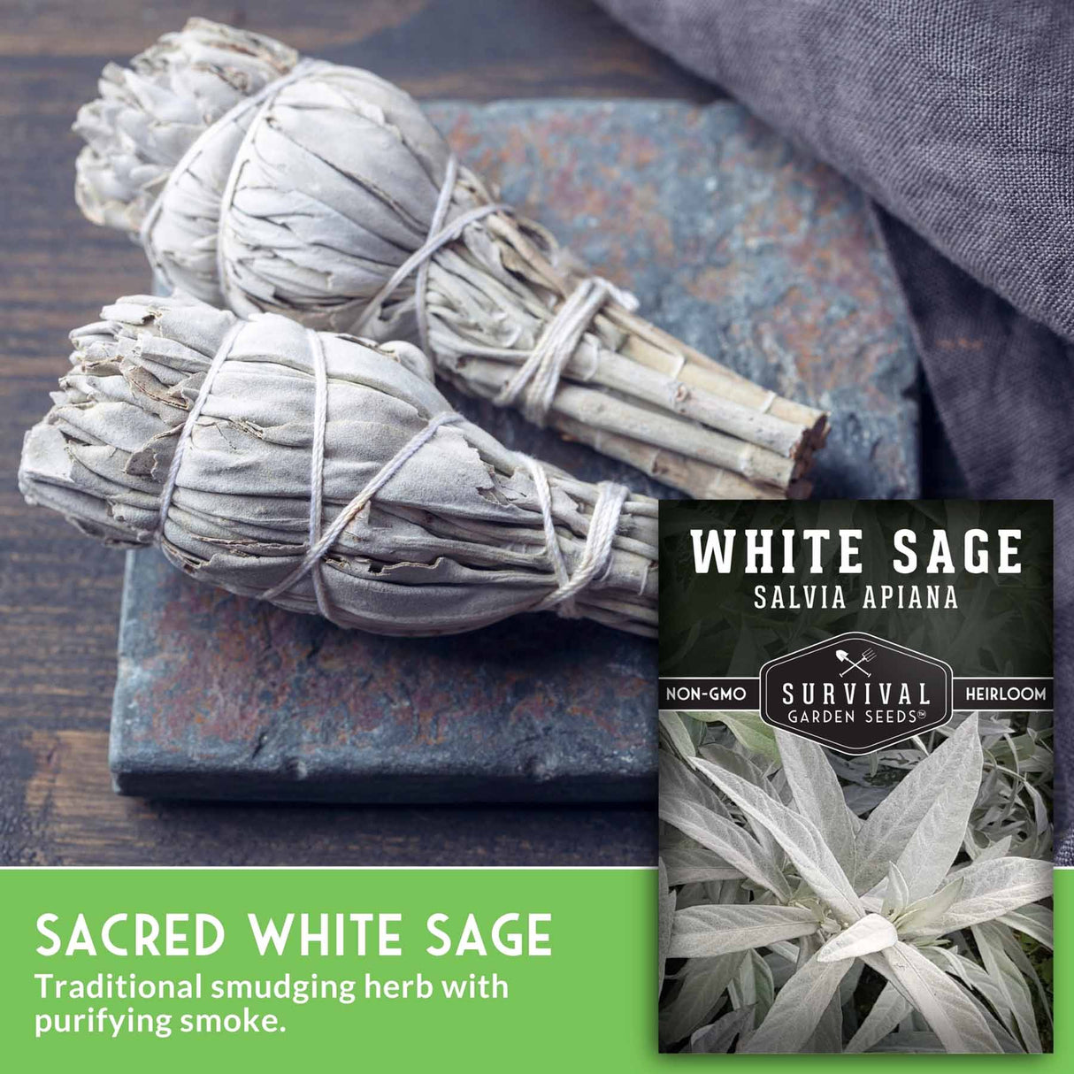 Two bundles of white sage on a stone surface with 'Survival Garden Seeds' branding.