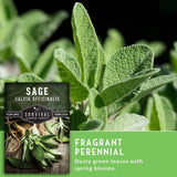 Sage plant with a label indicating 'Survival Garden Seeds' and descriptive text about sage.