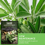 Sage plant with a label indicating 'Sage Salvia Officinalis' and text about low maintenance.