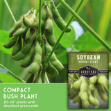Soybean plants with green pods and Survival Garden Seeds packaging.