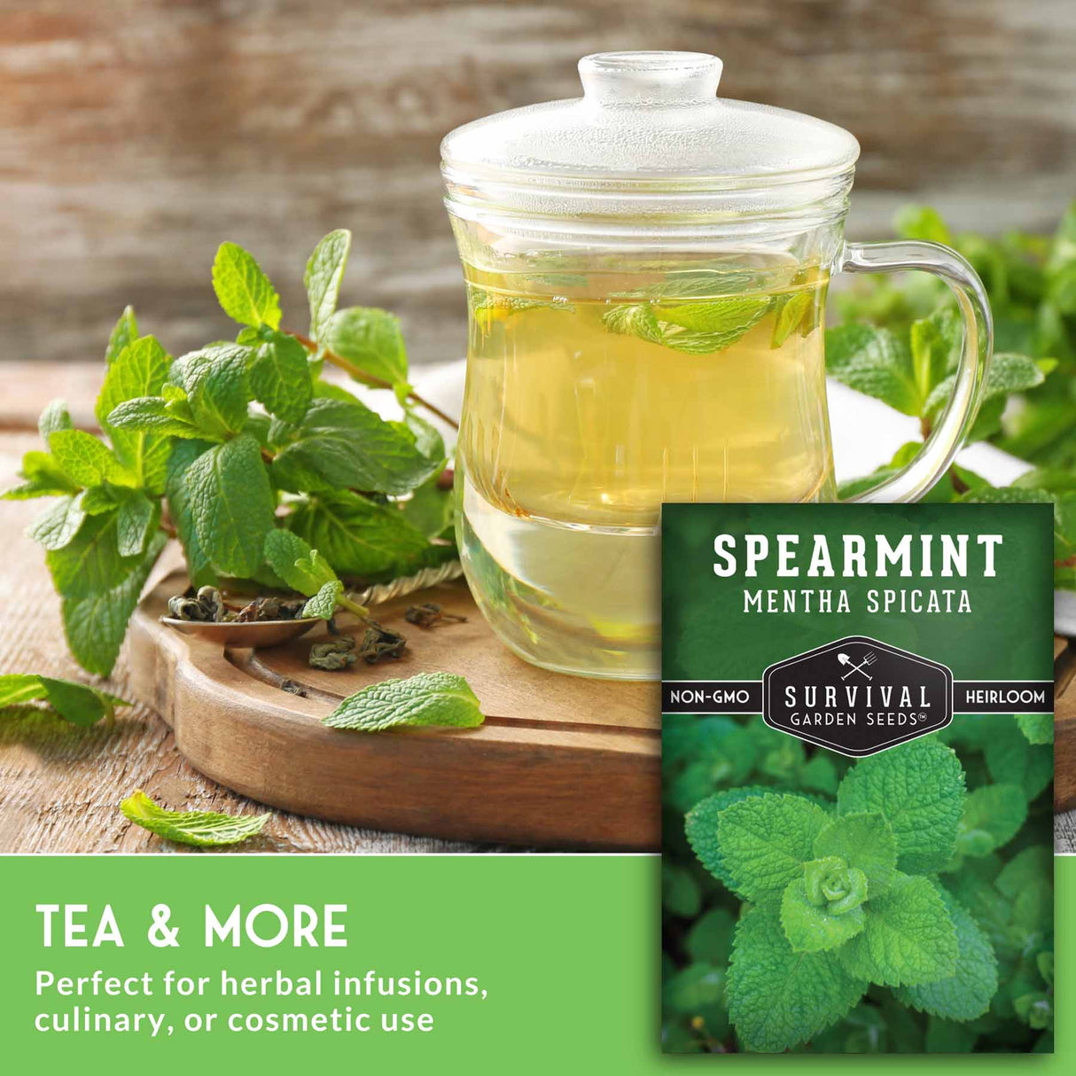 spearmint tea in a cup with seed packet in foreground