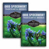 Two packages of Survival Garden Seeds Ohio Spiderwort with butterfly illustration on a white background
