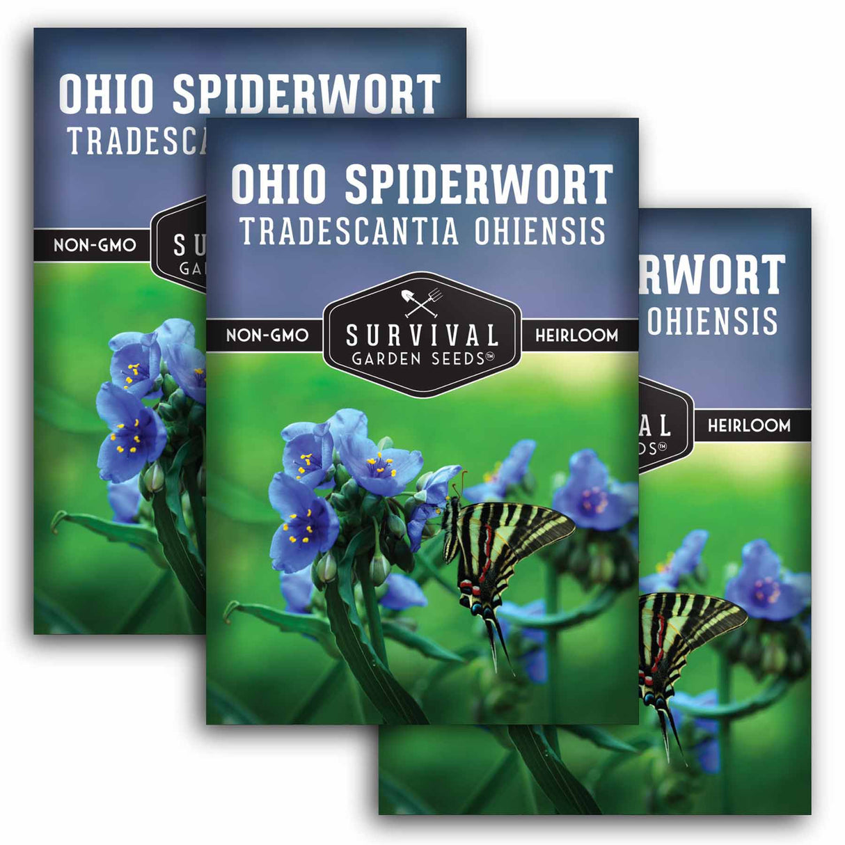 Three packages of Survival Garden Seeds Ohio Spiderwort with butterfly illustration on a white background