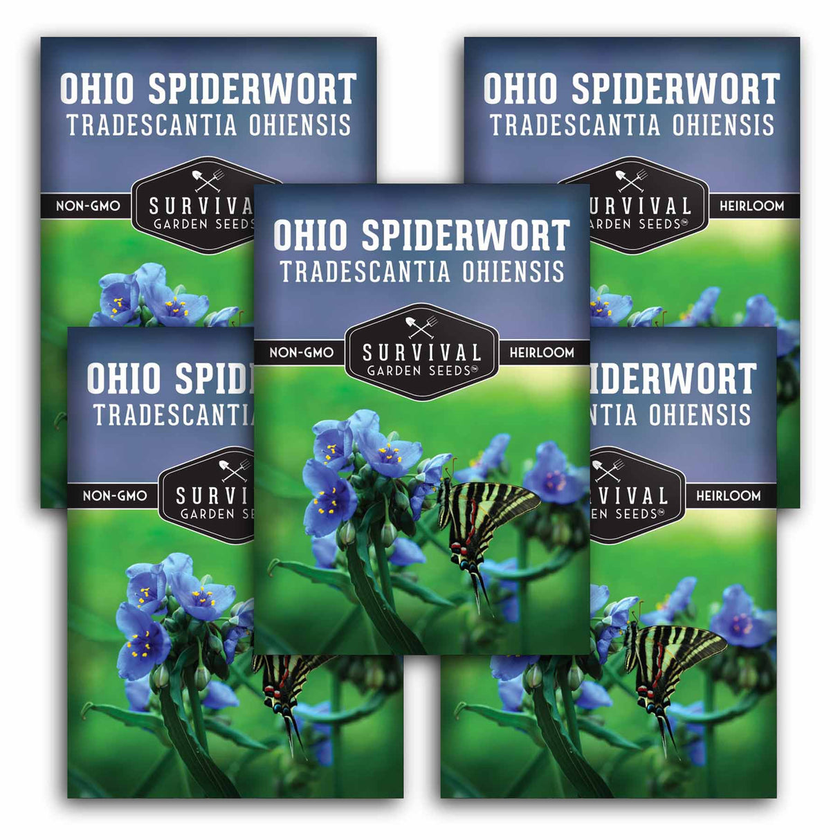 Five packages of Survival Garden Seeds Ohio Spiderwort with butterfly illustration on a white background