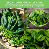 Collage of spinach images with text promoting home gardening.