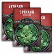 Three packages of Survival Garden Seeds spinach seeds on a white background