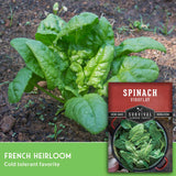 Spinach plant in soil with Survival Garden Seeds packaging