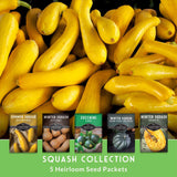 Collection of yellow squash with seed packets displayed below on a green background