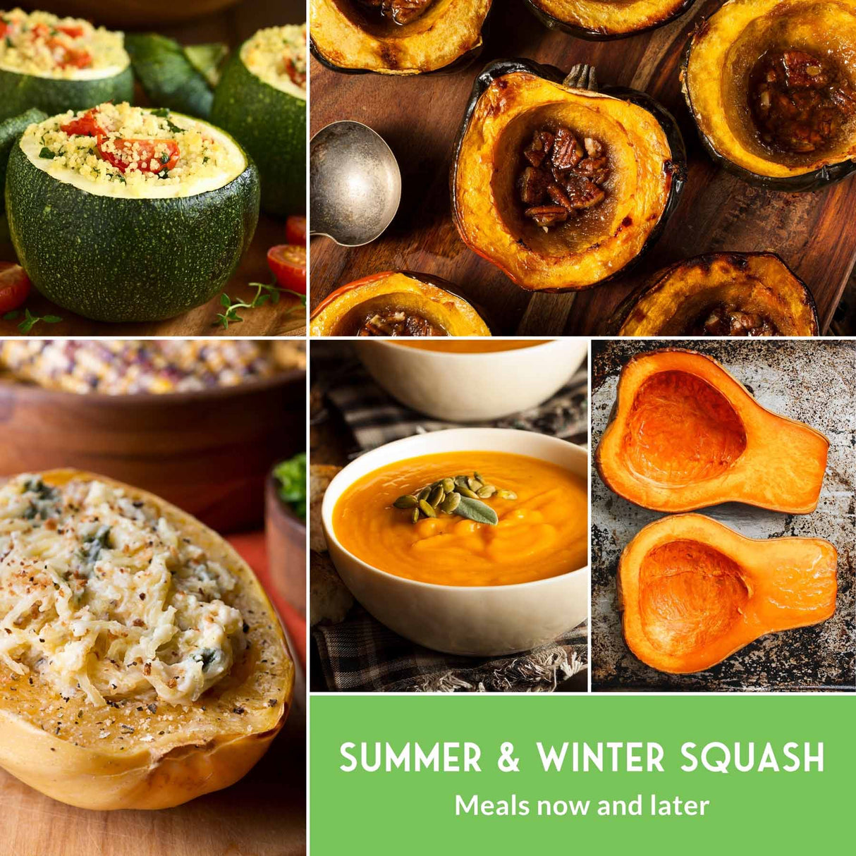 Collage of various squash dishes with a green banner at the bottom.