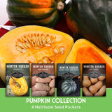 Heirloom seed packets for winter squash with a pumpkin display in the background.