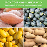 Collage of different types of pumpkins with text promoting heirloom pumpkin seeds.