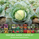 Vegetable garden starter kit with a head of cabbage and seed packets below.