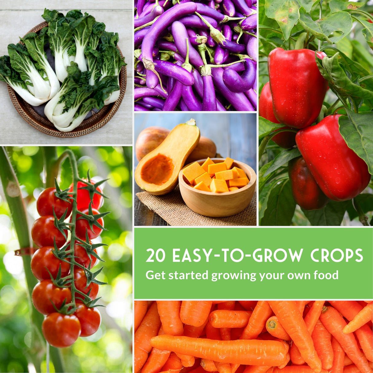 Collage of various vegetables with text '20 Easy-to-Grow Crops' on a green background.