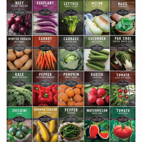 Grid of vegetable seed packets with images and names on a white background
