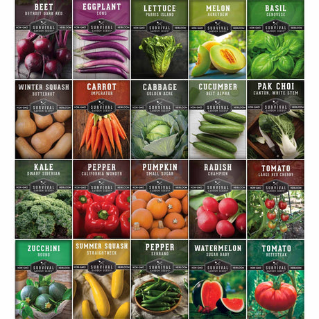 A 6x4 grid of seed packet designs for Survival Seeds, featuring different vegetables like beets, eggplants, lettuce, melons, basil, winter squash, carrots, cabbage, cucumber, pak choi, kale, peppers, pumpkins, radish, tomatoes, zucchini, summer squash, watermelon, and more, each with its own colorful vegetable photo and dark label.