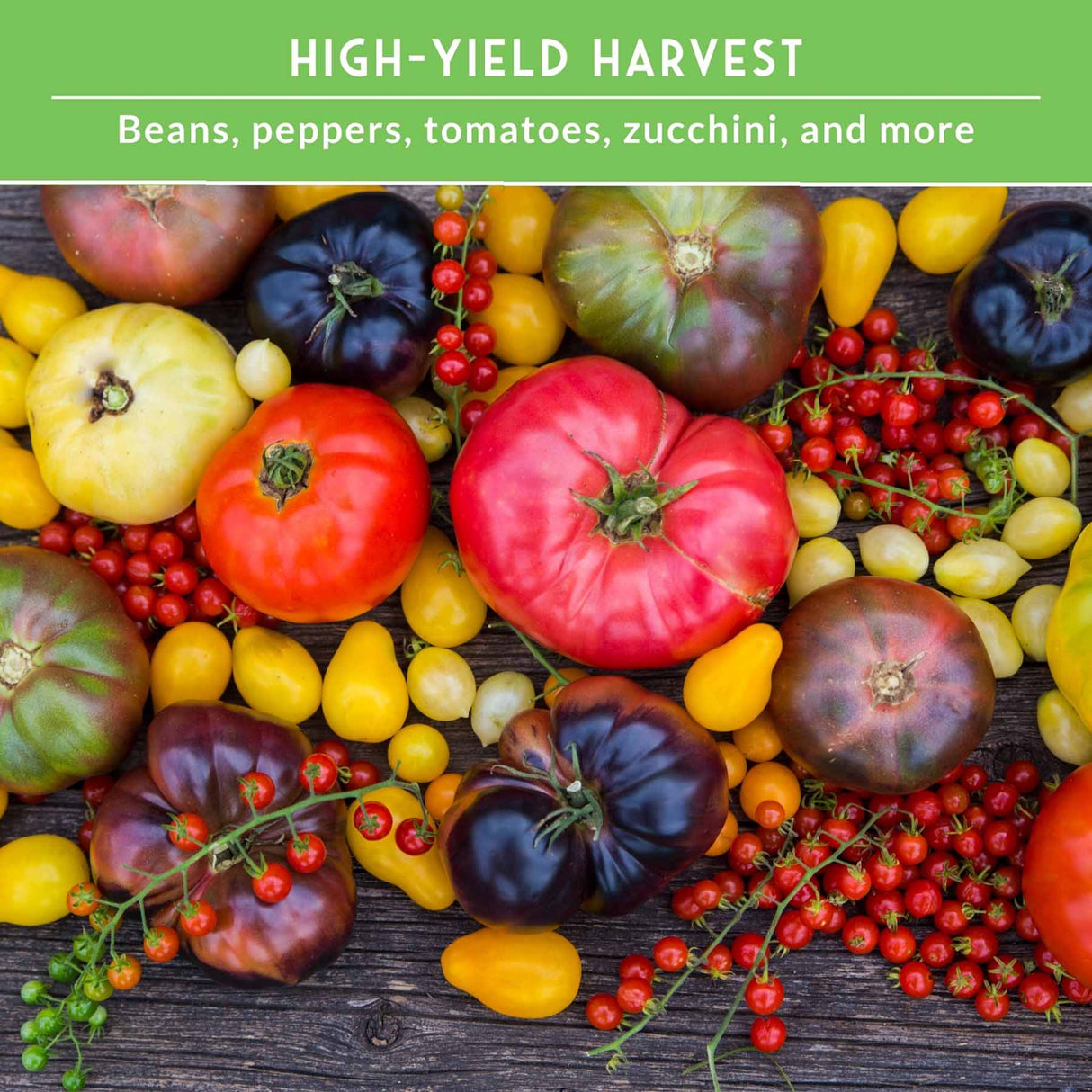 Assorted colorful tomatoes, peppers, and beans on a wooden surface with 'High-Yield Harvest' text.