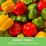 Assorted colorful bell peppers with a text overlay about beginner-friendly gardening.