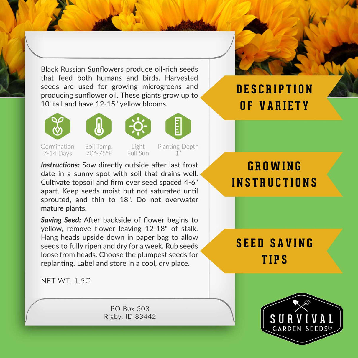 Sunflower seed packet with growing instructions and seed saving tips on a green background with sunflowers.