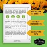 Sunflower seed packet with growing instructions and seed saving tips on a green background with sunflowers.