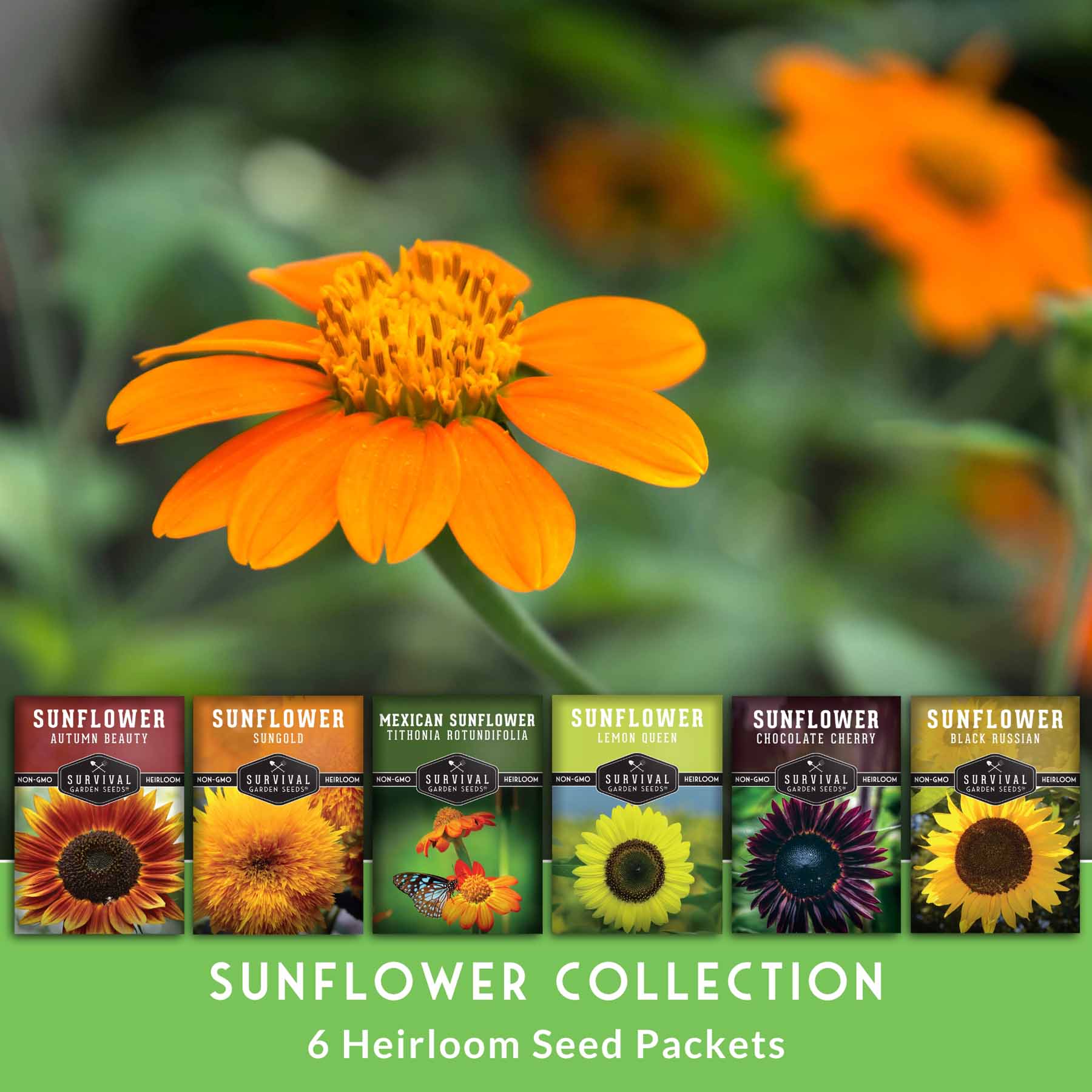 Six Sunflower Collection – SurvivalGardenSeeds