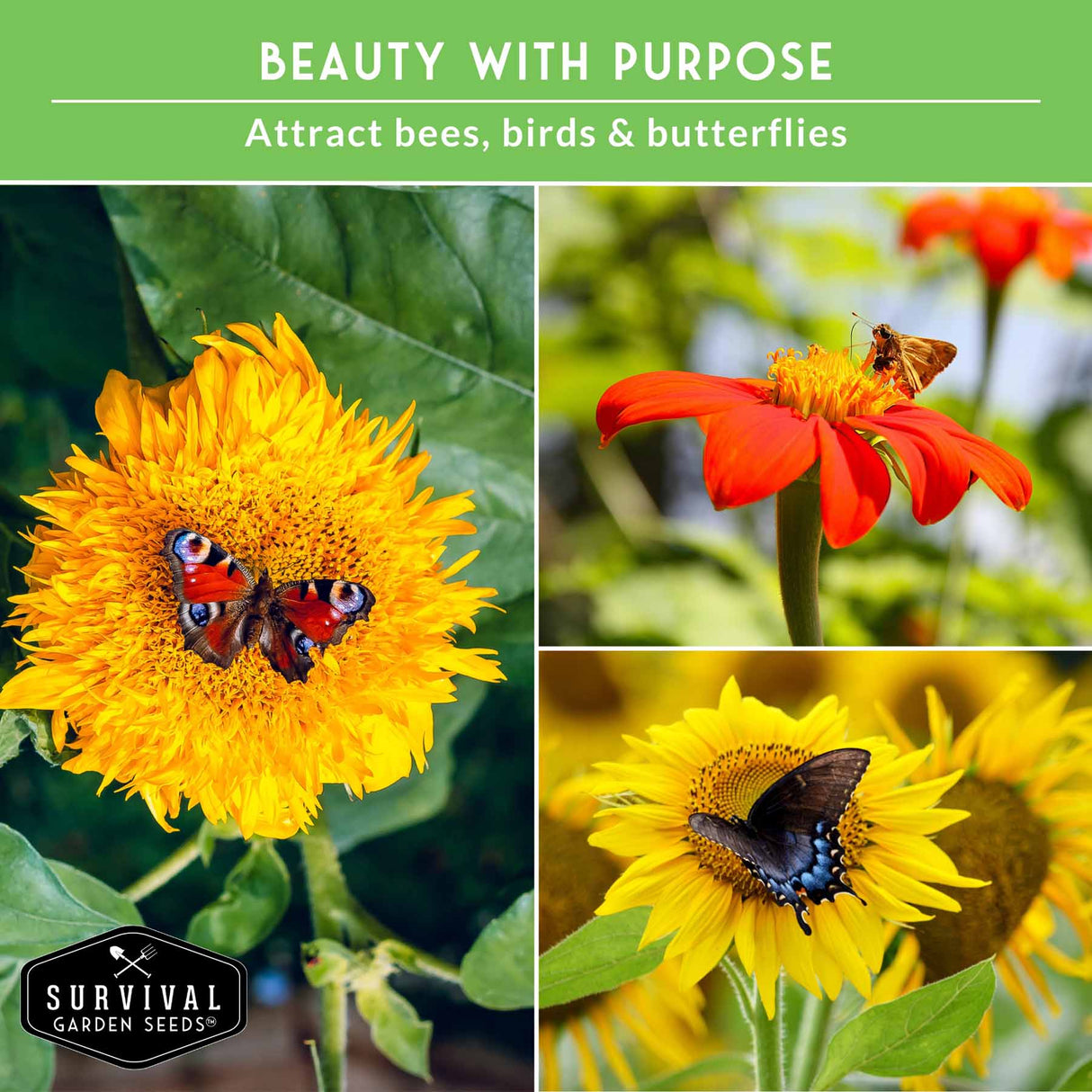 Collage of butterflies on flowers with 'Survival Garden Seeds' logo and text about attracting bees, birds, and butterflies.