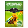 Common Sunflower Seeds - Helianthus annuus