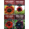 Four packages of Survival Garden Seeds sunflower varieties on a white background.