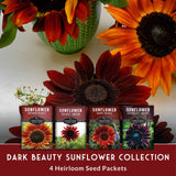 Sunflower seed packets with sunflowers in the background