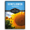 A package of Survival Garden Seeds 'Sunflower Mammoth' seeds, featuring a bright blue header and a large, detailed photograph of a sunflower on the front.